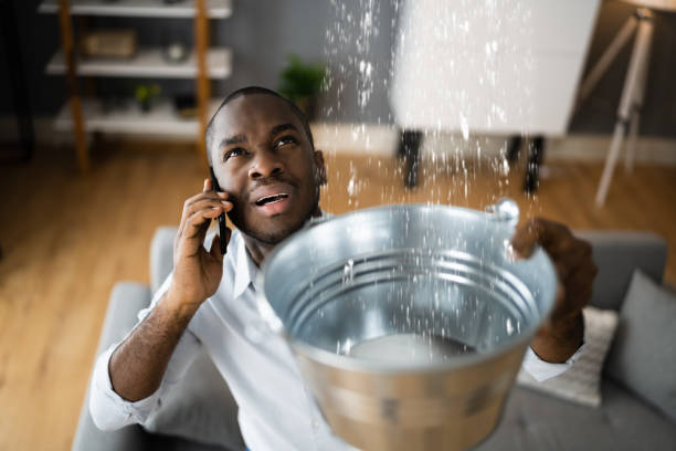 Best Flood damage cleanup  in Shelbyville, KY