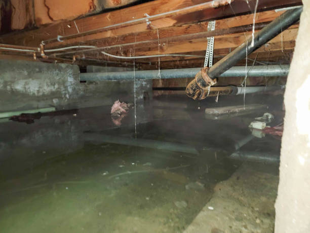 Best Water damage restoration near me  in Shelbyville, KY
