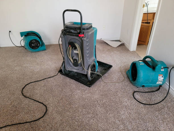 Best Water damage restoration near me  in Shelbyville, KY