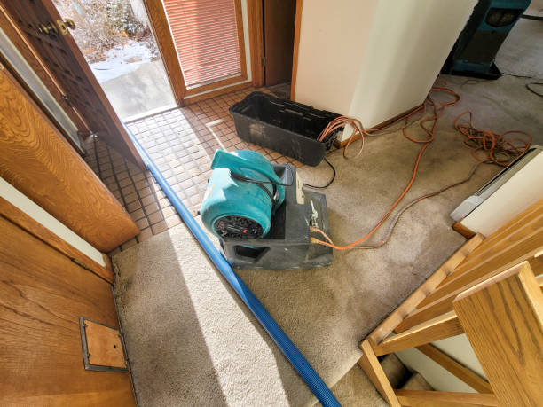 Best Ceiling water damage repair  in Shelbyville, KY