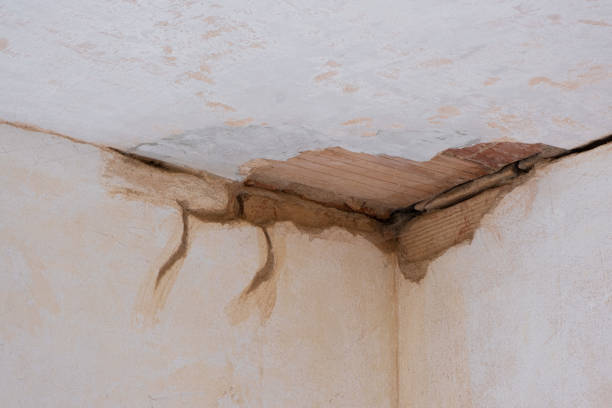Best Sewage cleanup and water damage restoration  in Shelbyville, KY