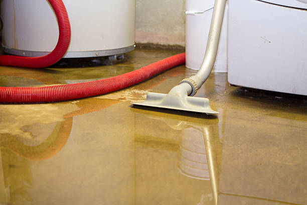 Best Water damage restoration near me  in Shelbyville, KY