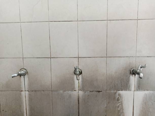  Shelbyville, KY Water damage restoration Pros